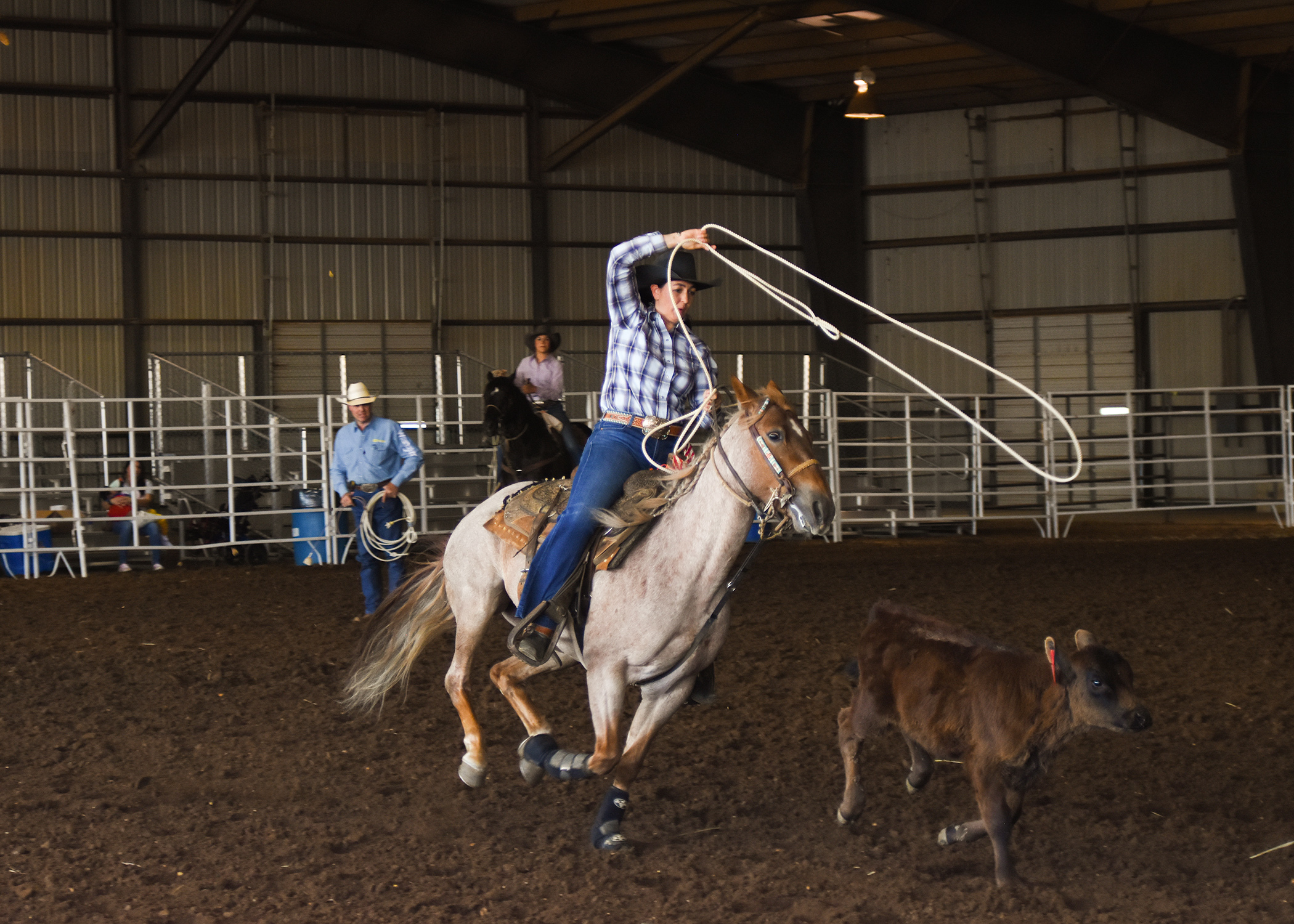 Horse rider at Whip Crackin' Rodeo, Wilson County